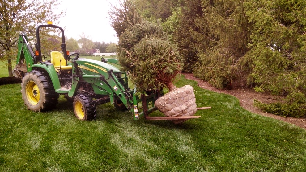 Lawn Maintenance & Planting Services by Steve Greco Landscaping, Inc. - Photo 26