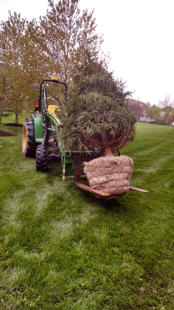 Steve Greco Landscaping, Inc. - Photo 7