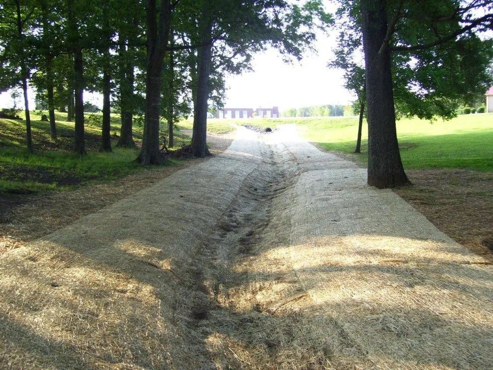A.T. Allen School, Cabarrus County Educational Institution by Peterson Grading & Excavation Inc. - Photo 7