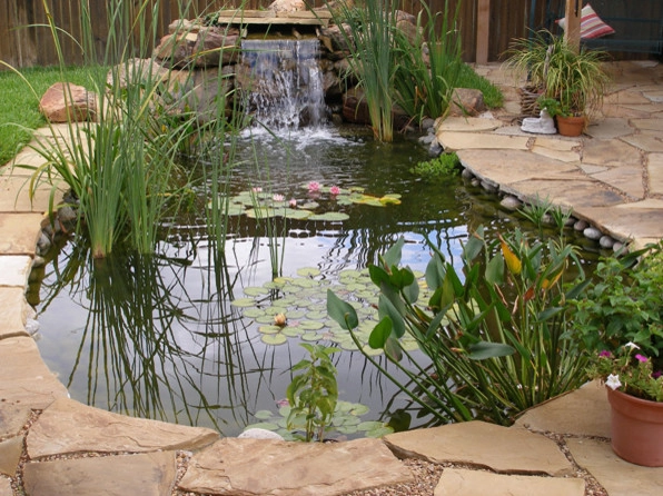 Koi Ponds + Water Gardens by Sublime Water Gardens - Photo 8