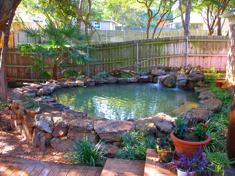 Koi Ponds + Water Gardens by Sublime Water Gardens - Photo 5