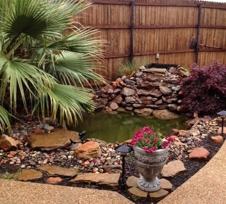 Koi Ponds + Water Gardens by Sublime Water Gardens - Photo 34