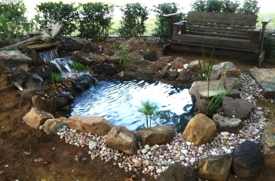 Before + After by Sublime Water Gardens - Photo 7
