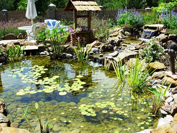 Sublime Water Gardens - Photo 12