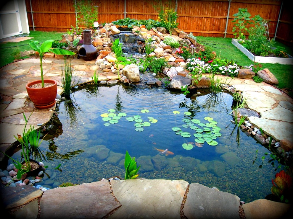 Koi Ponds + Water Gardens by Sublime Water Gardens - Photo 15