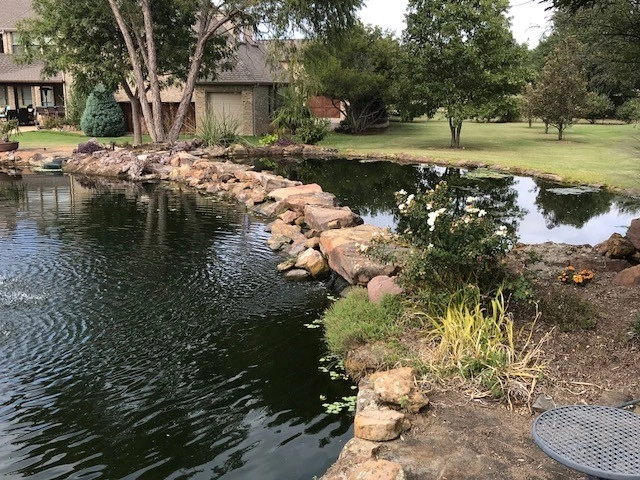 Koi Ponds + Water Gardens by Sublime Water Gardens - Photo 16