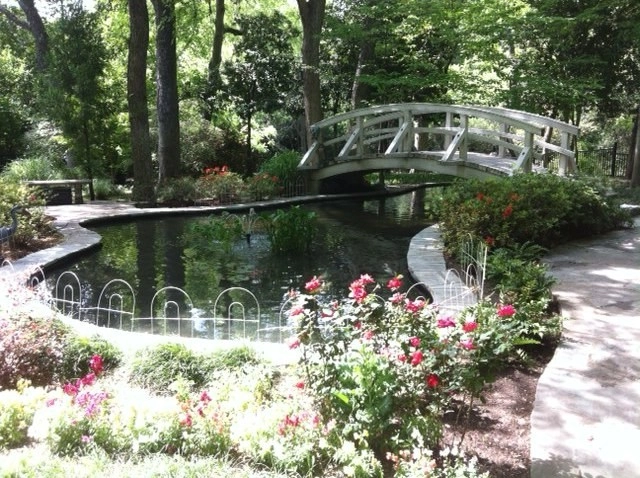 Koi Ponds + Water Gardens by Sublime Water Gardens - Photo 17