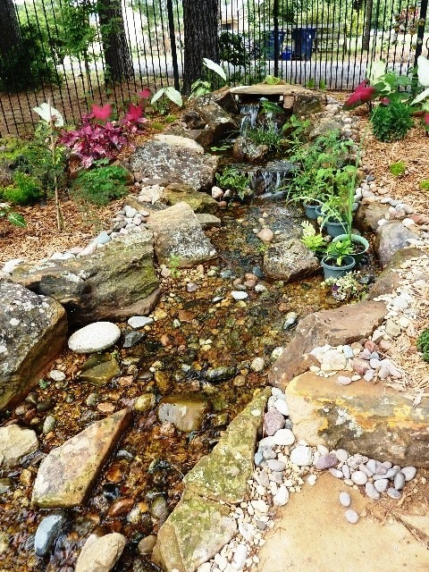 Sublime Water Gardens - Photo 8