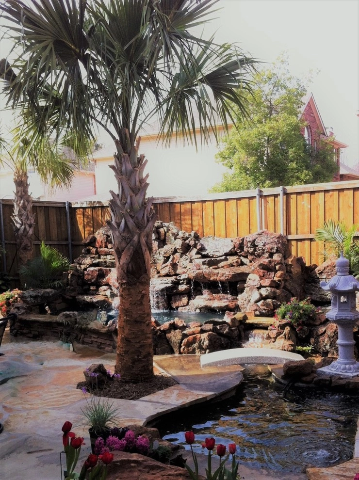 Before + After by Sublime Water Gardens - Photo 14