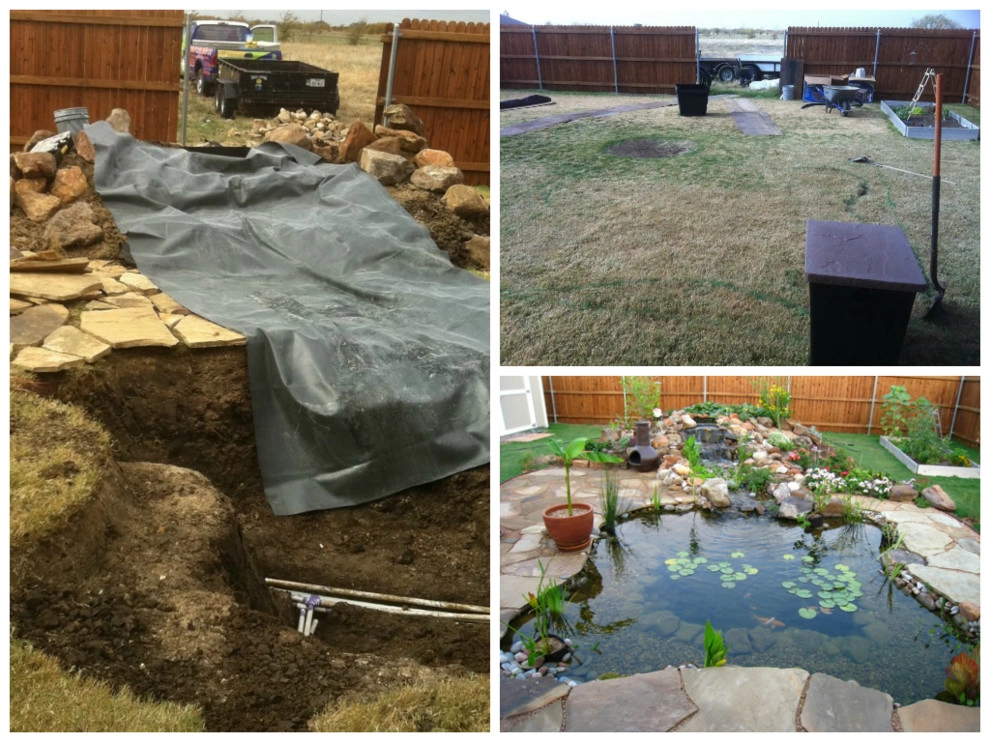 Before + After by Sublime Water Gardens - Photo 3
