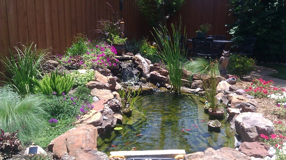 Before + After by Sublime Water Gardens - Photo 15