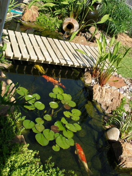 Koi Ponds + Water Gardens by Sublime Water Gardens - Photo 25