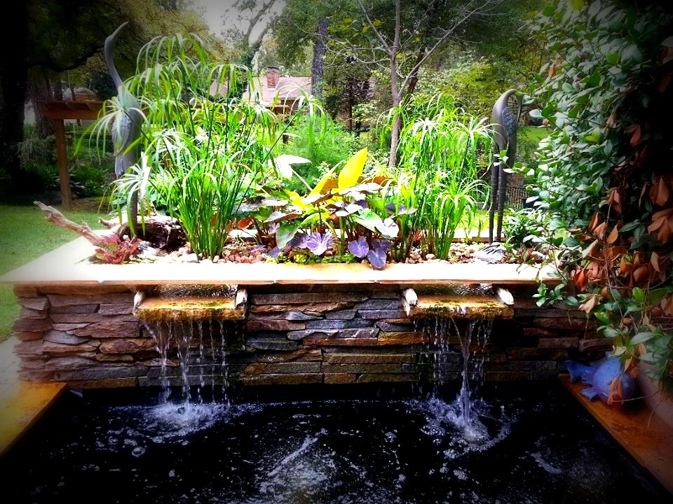 Koi Ponds + Water Gardens by Sublime Water Gardens - Photo 3