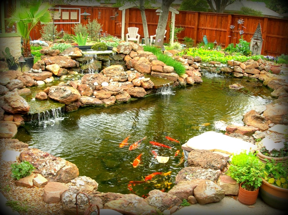 Koi Ponds + Water Gardens by Sublime Water Gardens - Photo 35