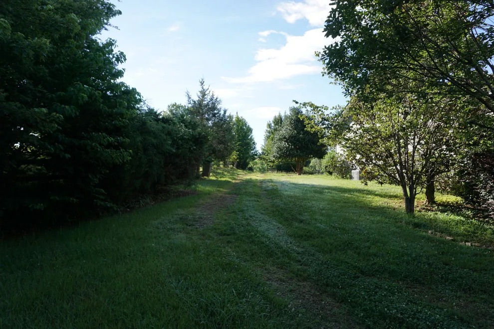 Circular Asphalt Driveway Installation (Campobello SC) by Deal Asphalt Inc - Photo 13