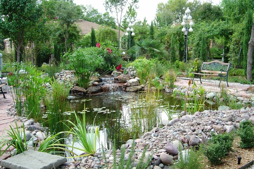 Koi Ponds + Water Gardens by Sublime Water Gardens - Photo 19