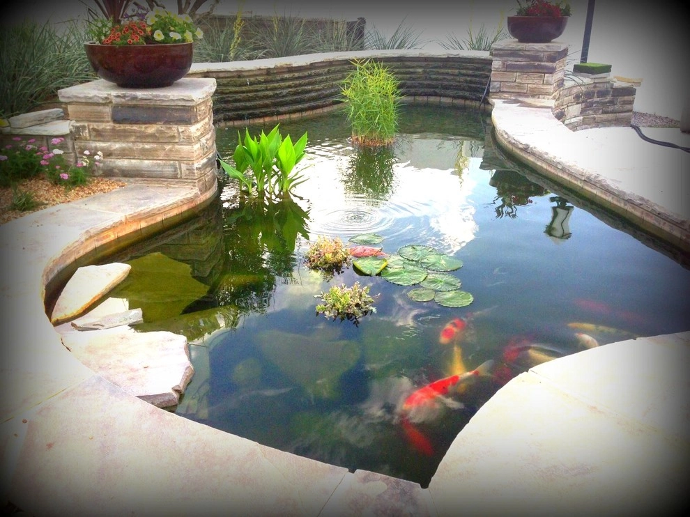 Koi Ponds + Water Gardens by Sublime Water Gardens - Photo 32