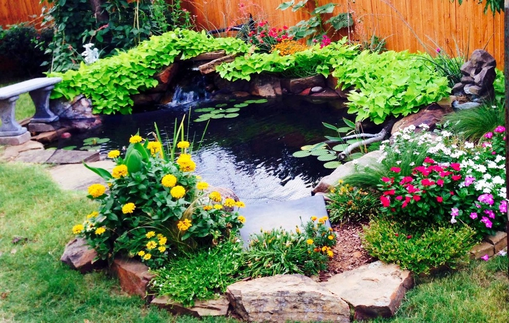 Koi Ponds + Water Gardens by Sublime Water Gardens - Photo 28