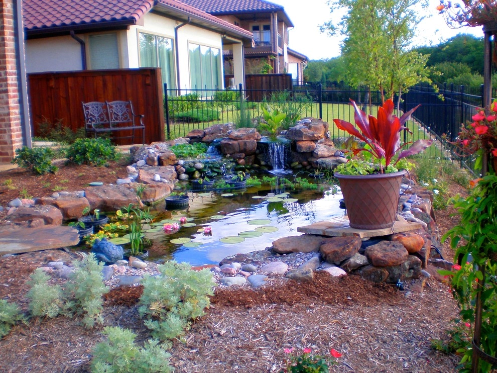 Koi Ponds + Water Gardens by Sublime Water Gardens - Photo 24