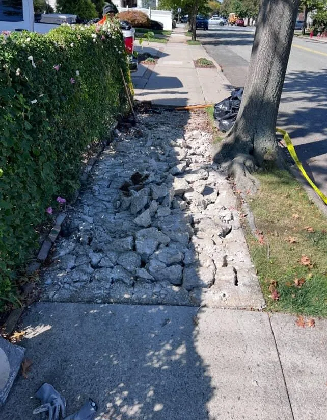 IronEdge Paving And Masonry - Photo 8