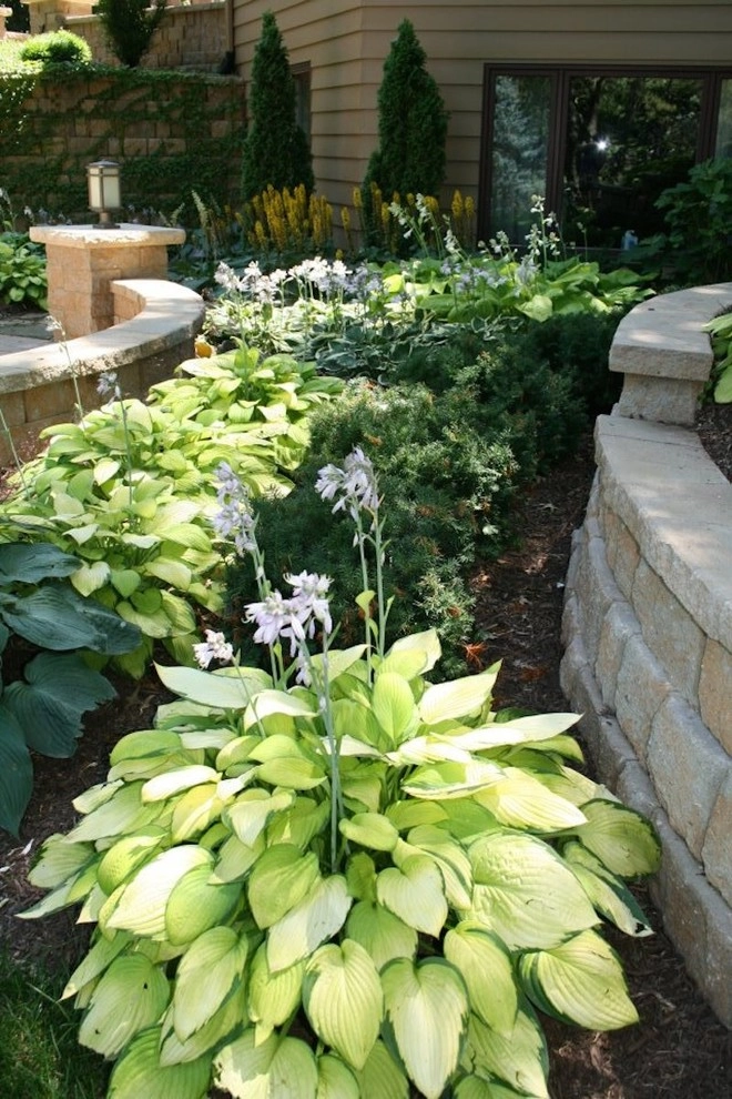 SunCo - Photo 14