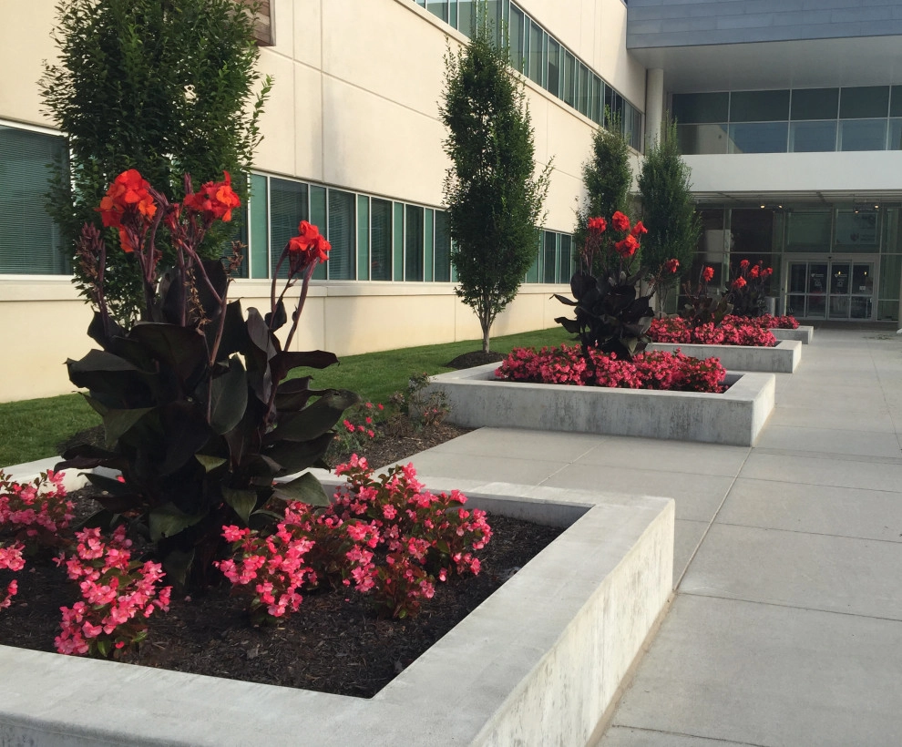 Beautiful Landscaping by SunCo - Photo 3