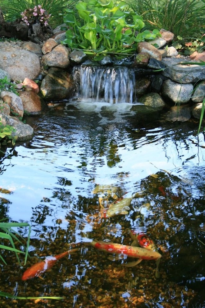 SunCo - Photo 12