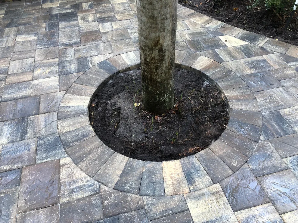 Paving Solutions Florida - Photo 7