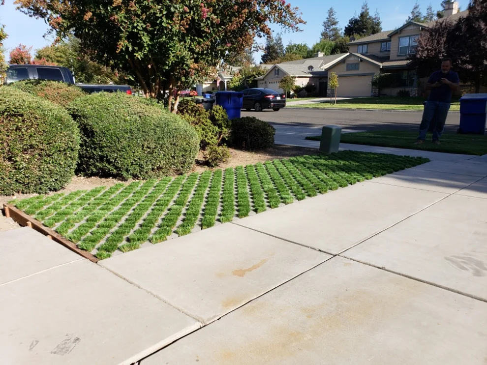 Landscapeable LLC - Photo 14