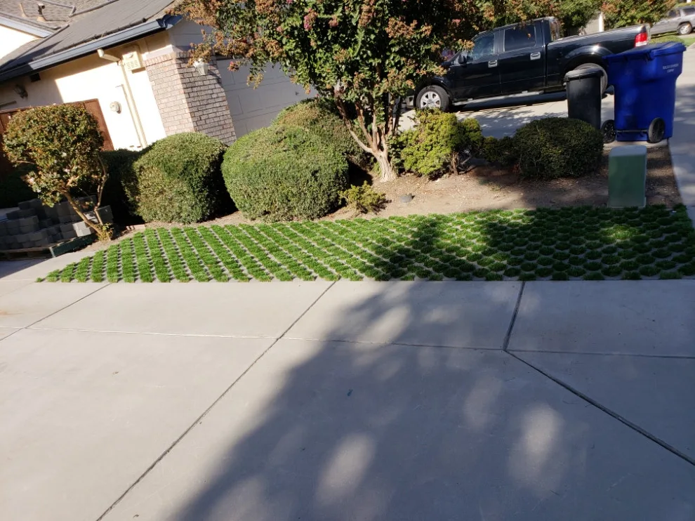 Landscapeable LLC - Photo 6