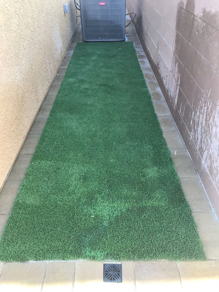 Grass by Sunny Landscaping - Photo 22