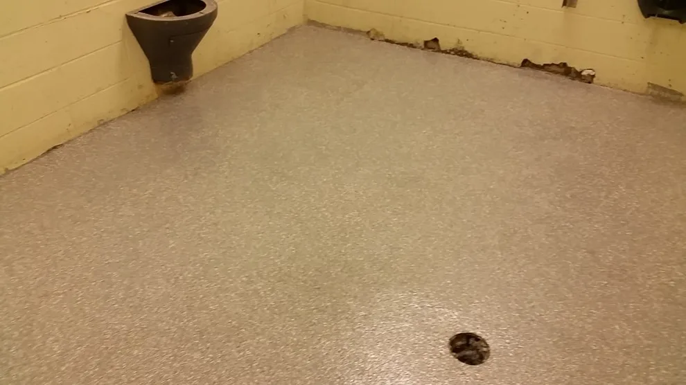 Epoxy chip flooring by Enduracrete - Photo 3
