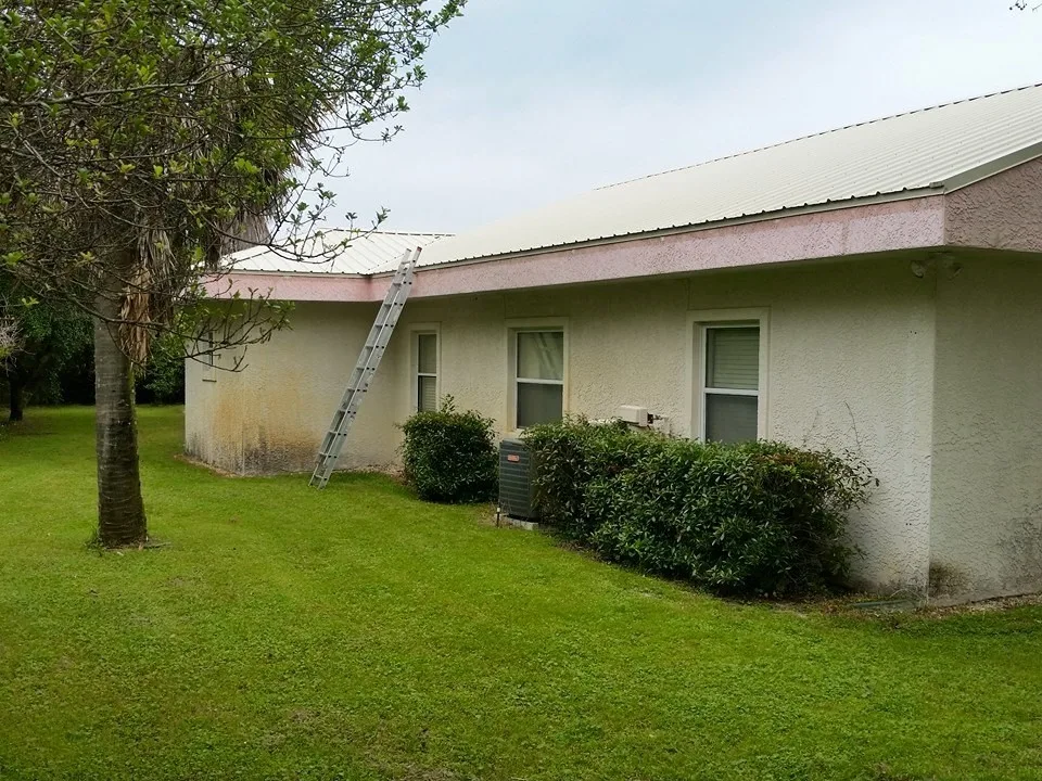 Outdoor Coating by Saddi - Cleaning & Construction INC - Photo 2