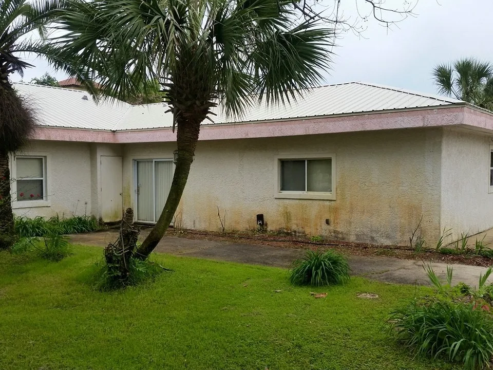 Outdoor Coating by Saddi - Cleaning & Construction INC - Photo 11