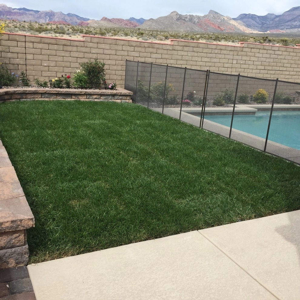 Backyard by Sunny Landscaping - Photo 66