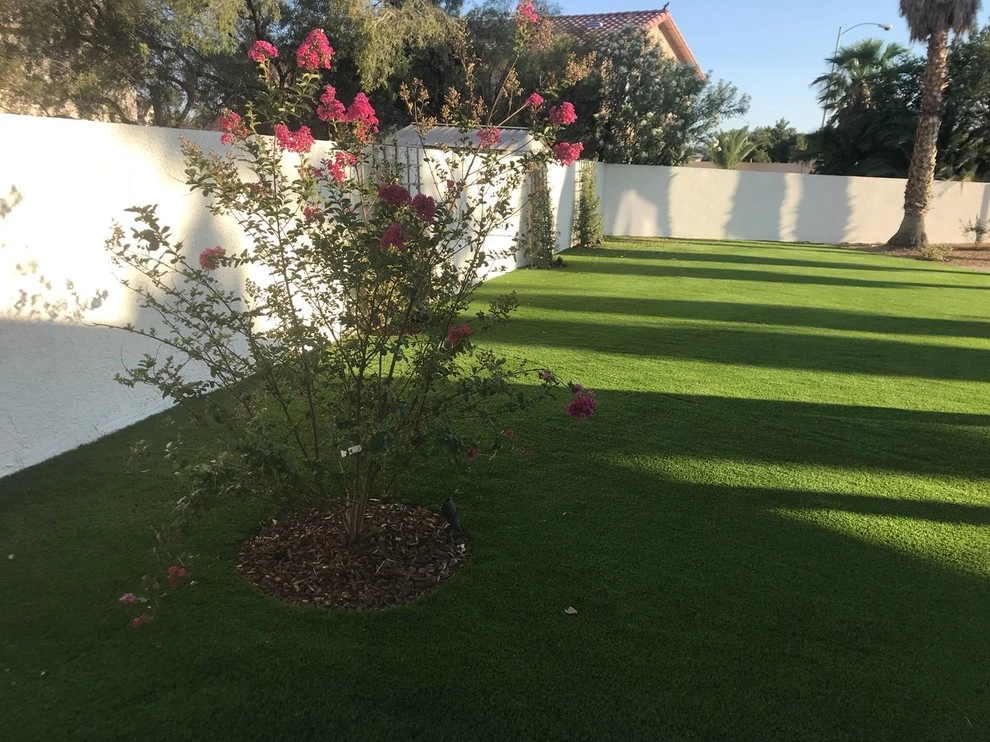 Grass by Sunny Landscaping - Photo 10