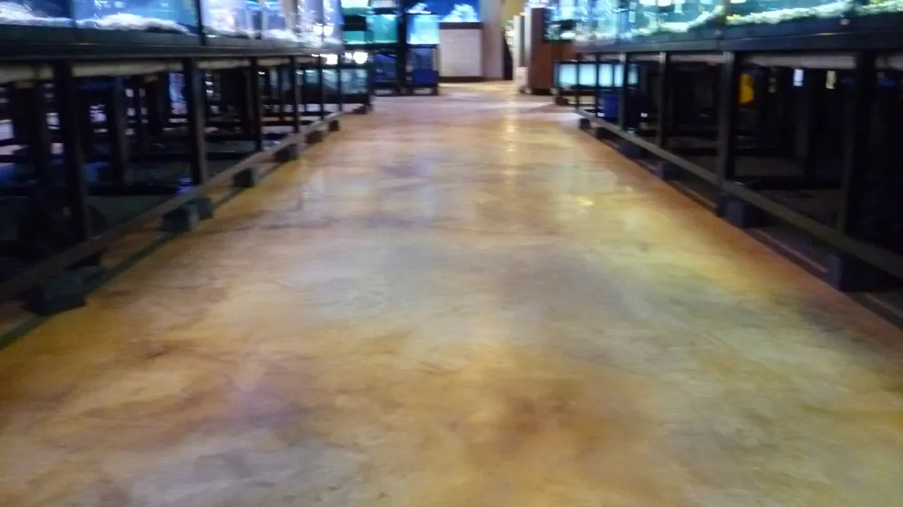 Concrete Flooring and Staining for Interiors by Stamped Artistry - Photo 10