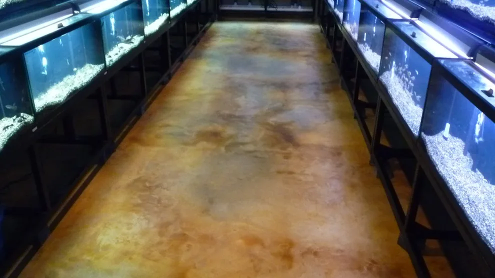 Concrete Flooring and Staining for Interiors by Stamped Artistry - Photo 11