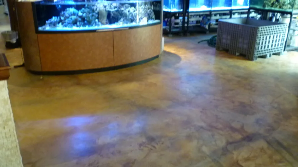 Concrete Flooring and Staining for Interiors by Stamped Artistry - Photo 7