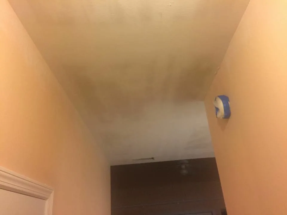 Interior Painting - Ceilings, Walls, Doors, Baseboards, Knockdown by Saddi - Cleaning & Construction INC - Photo 10