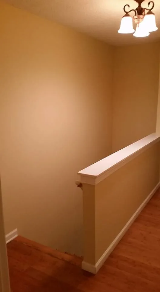 Saddi - Cleaning & Construction INC - Photo 9