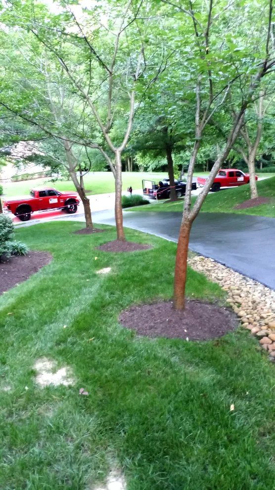 Our Finished Projects by Thomas & Son Asphalt Sealcoat LLC - Photo 7