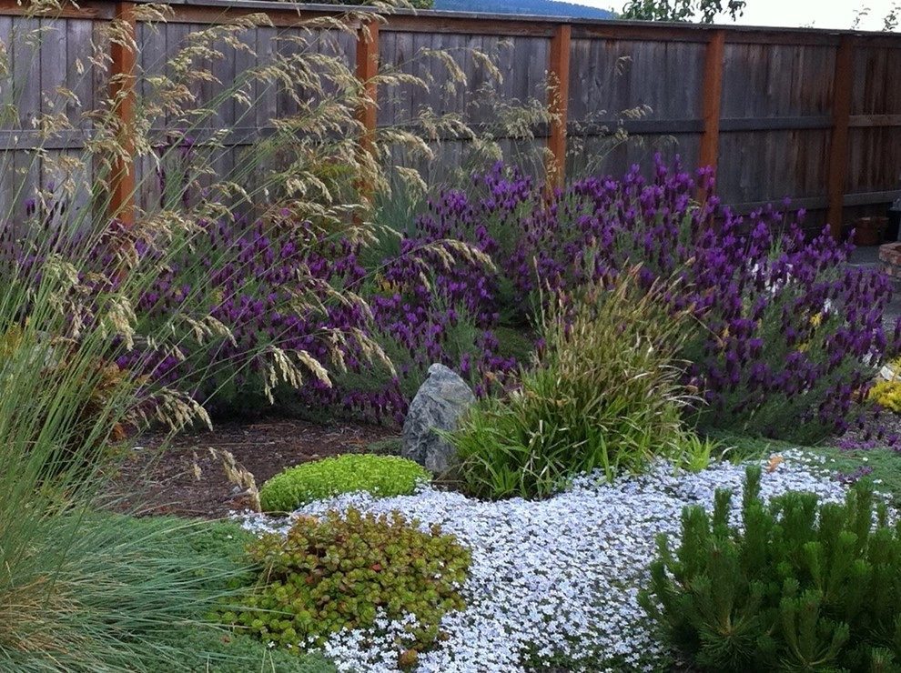 Misc Residential Photos by Sunset Landscape And Design - Photo 7