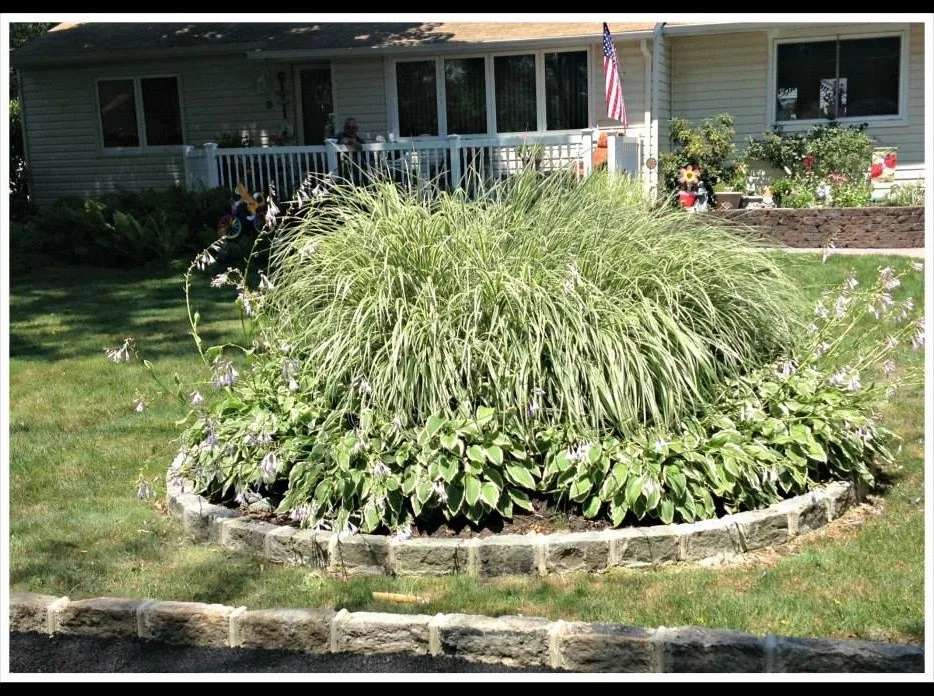 Showcase by Affatato Asphalt Paving Inc. - Photo 3