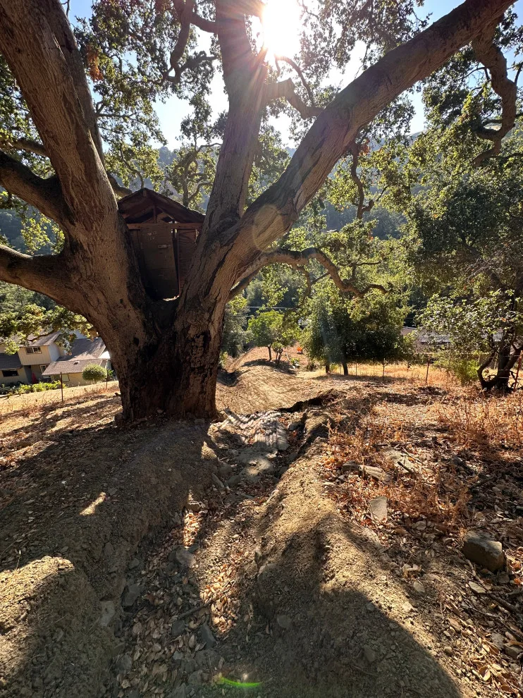 Sunol Private Home by South Bay Grading - Photo 2
