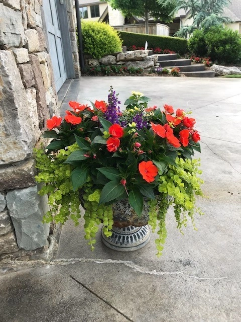 Potted Arrangements by Superscapes - Photo 4