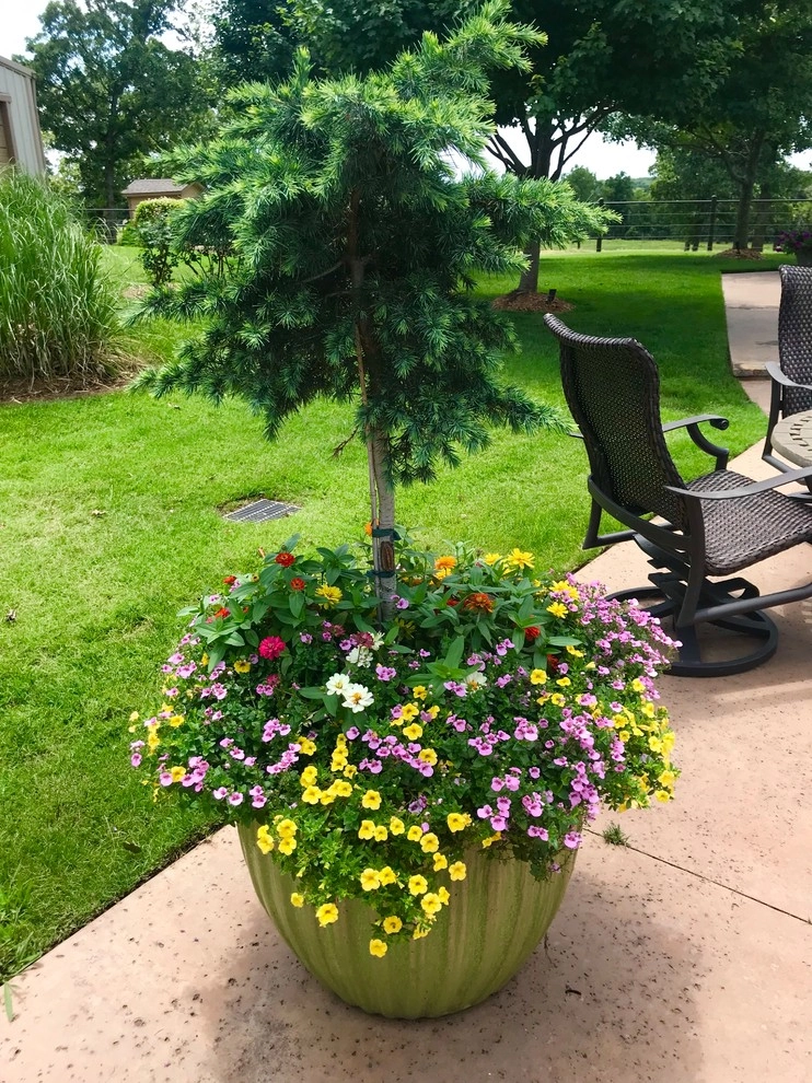 Potted Arrangements by Superscapes - Photo 2