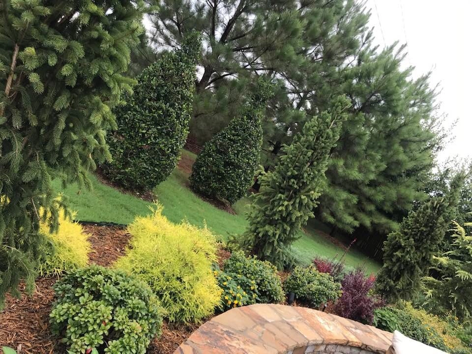 Full Service Landscape Construction by Superscapes - Photo 8