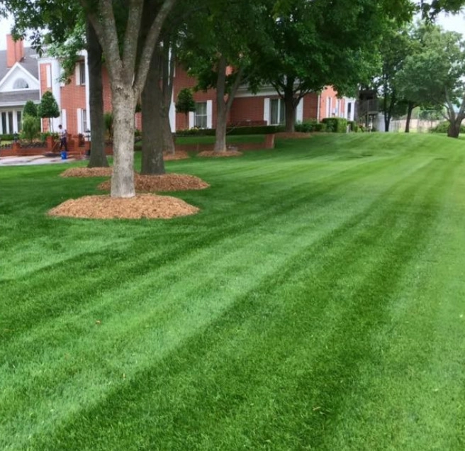 7 Step Turf Care Service by Superscapes - Photo 2