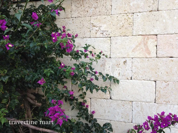 Creamy Travertine Paving Stones by Travertine Mart - Photo 58